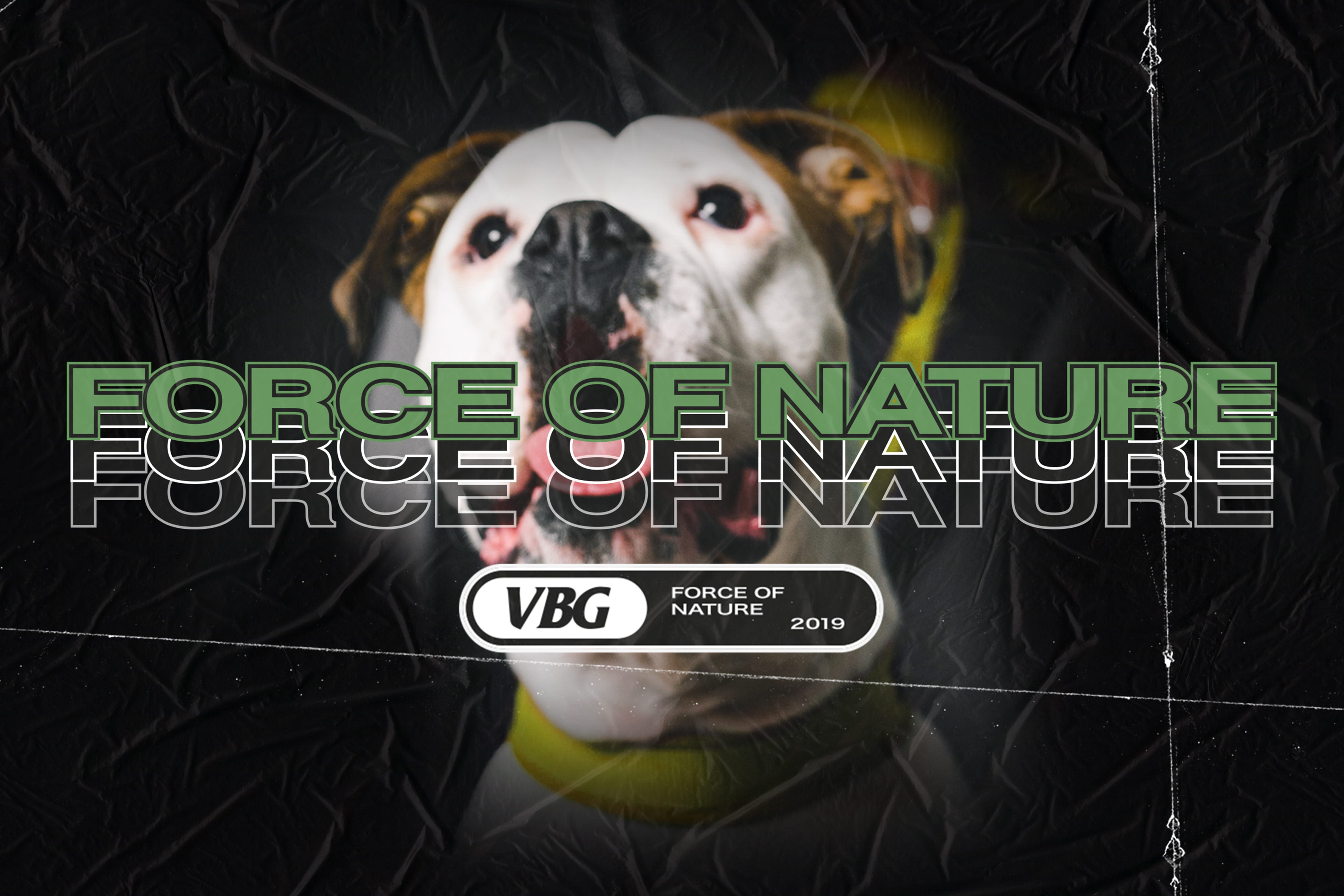 VBG FORCE OF NATURE